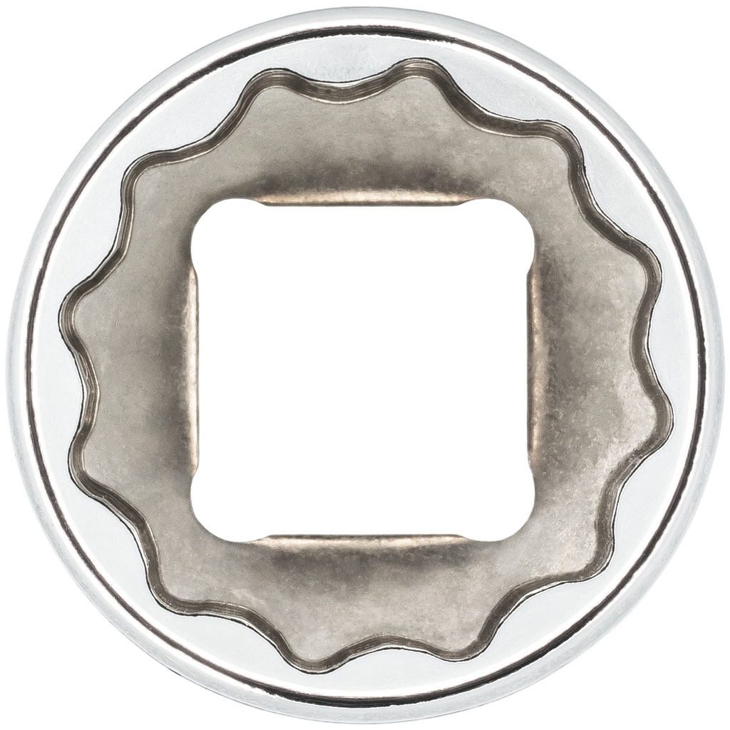Socket V7538-19, VIGOR (3)