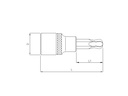 Technical view