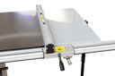 panel saw (TS315VF2000_400V, HOLZMANN) (9)