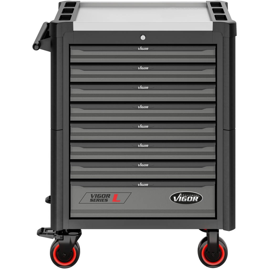 Series L V1901-X, VIGOR (3)