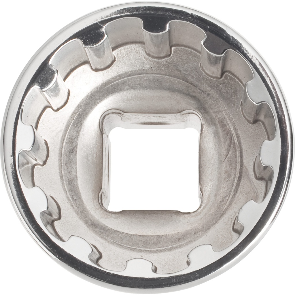 Socket V1981, VIGOR (3)