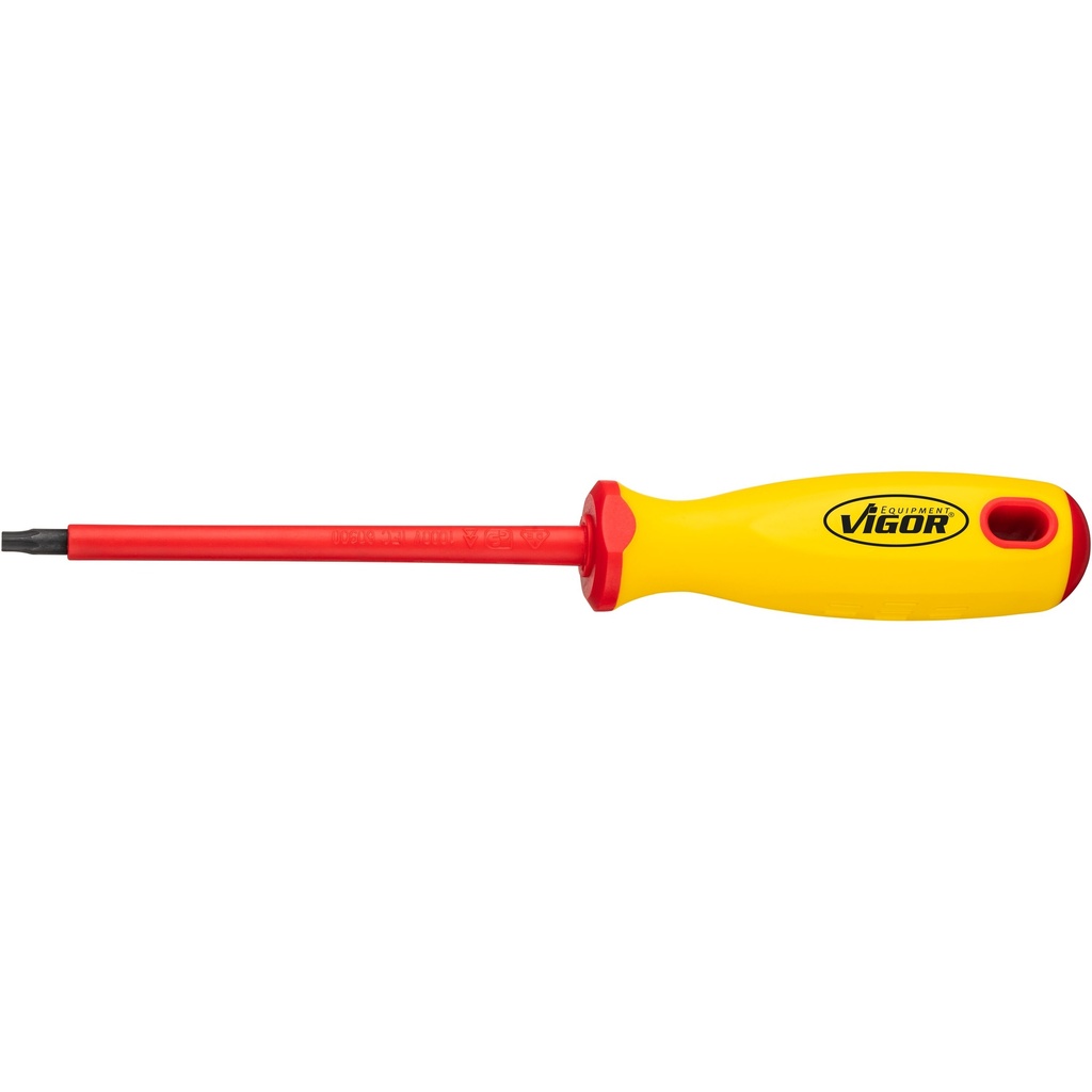 VDE T screwdriver V2031-T25, VIGOR (3)