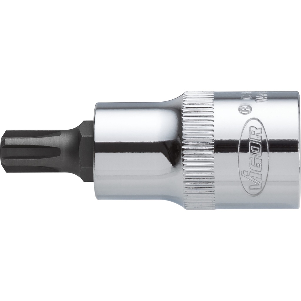 Screwdriver bit V2203, VIGOR (3)