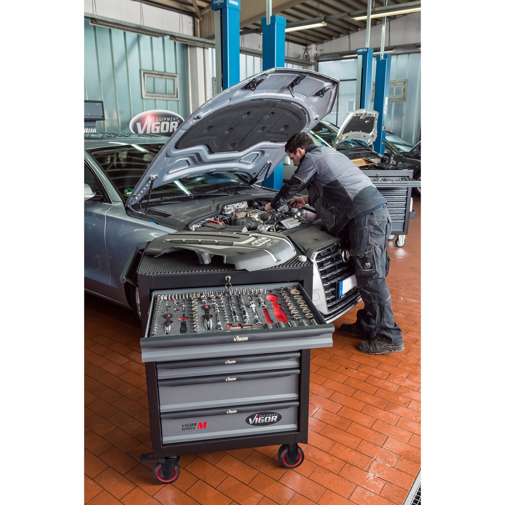 Series M V2379N, VIGOR (4)