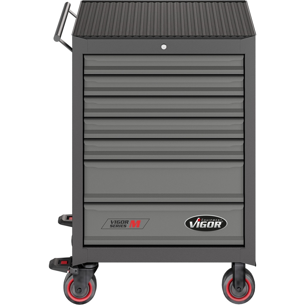 Series M V2379N, VIGOR (5)