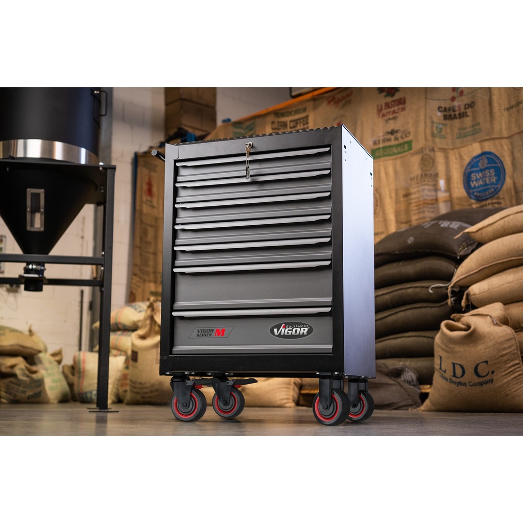 Series M V2379N/210, VIGOR (3)