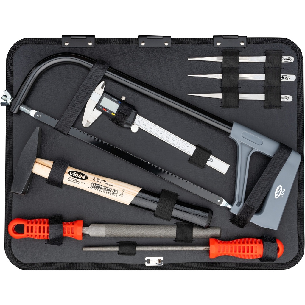 Pair of gripping jaws V2552, VIGOR (2)