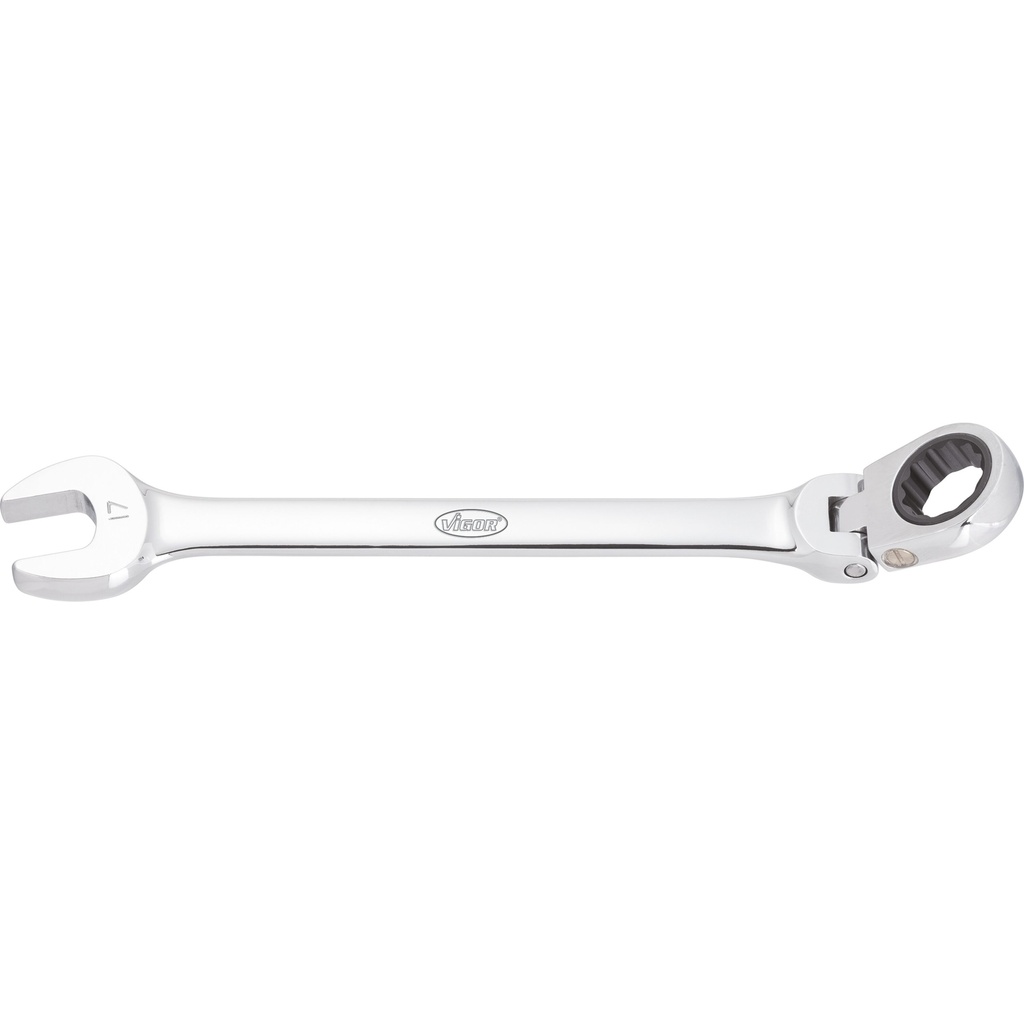 Ratcheting combination wrench set with h (5)