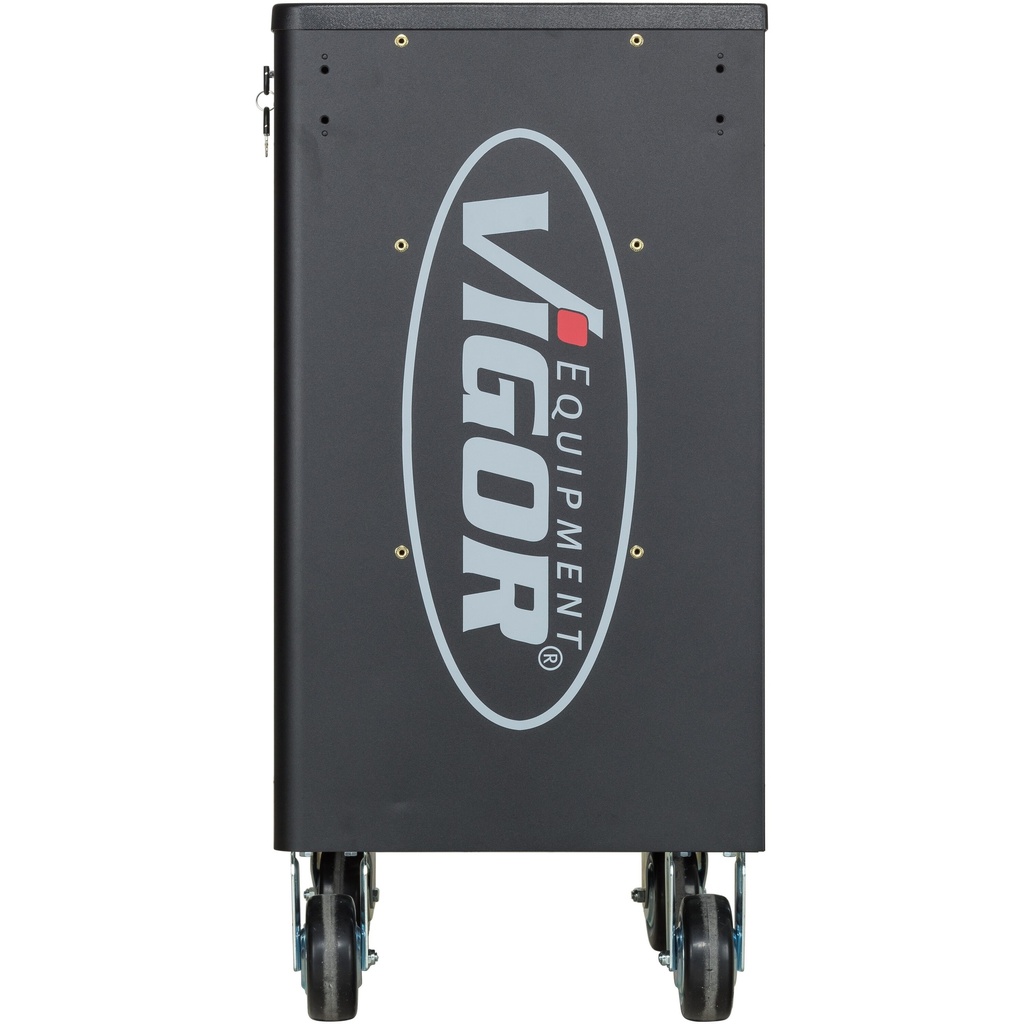 Series L V4219, VIGOR (3)