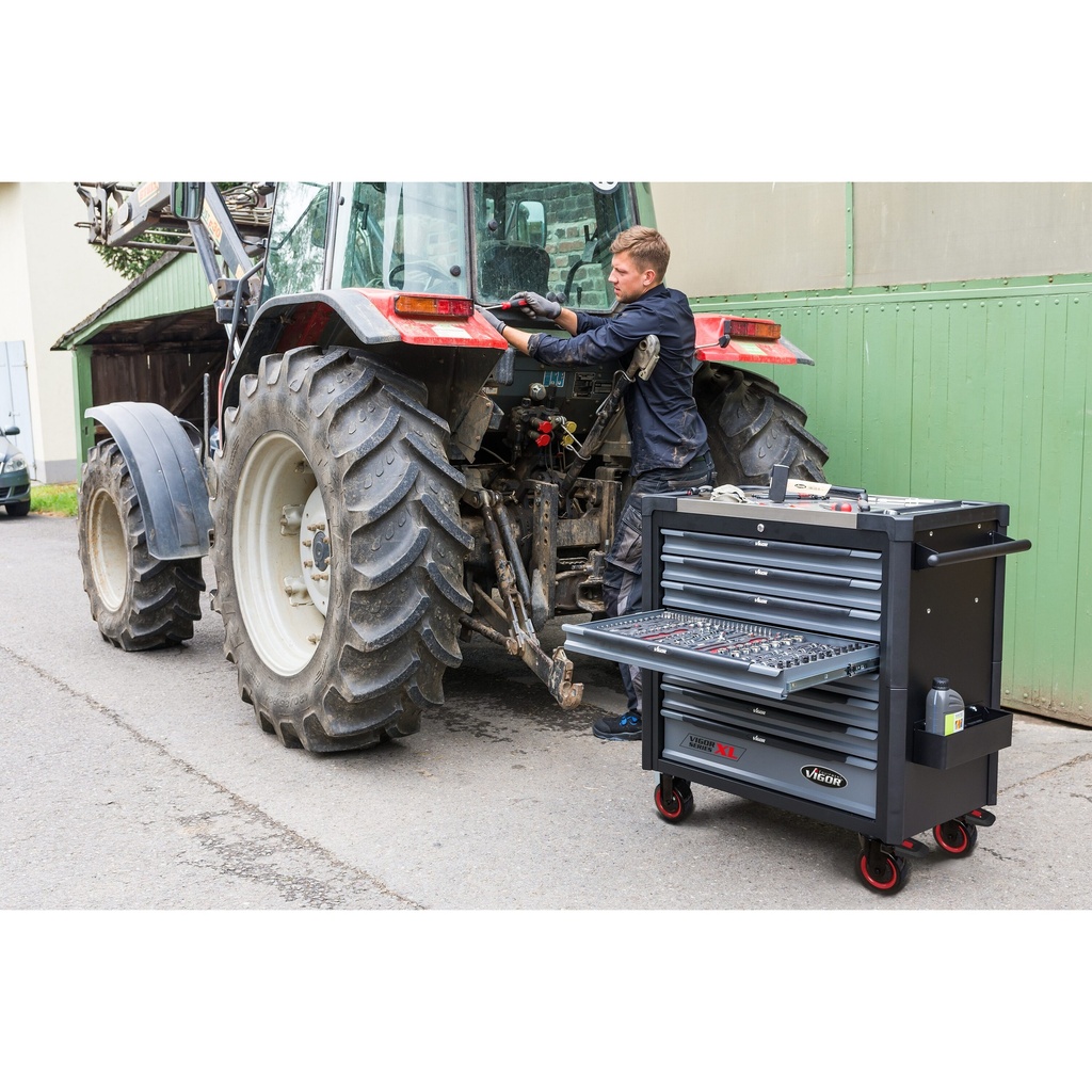 Series XL V4481-X/499, VIGOR (4)