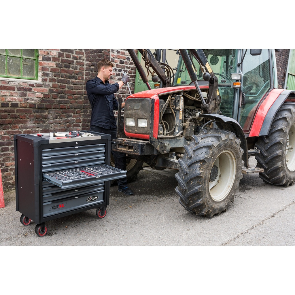 Series XL V4481-X/499, VIGOR (5)