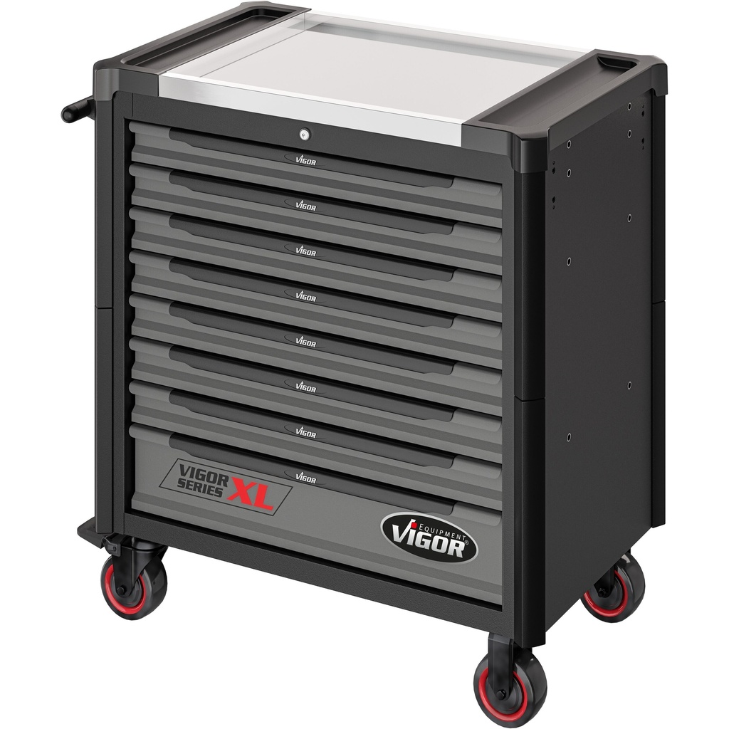 Series XL V4481-X/499, VIGOR (6)