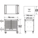 Series XD V4481-XD/469, VIGOR (2)