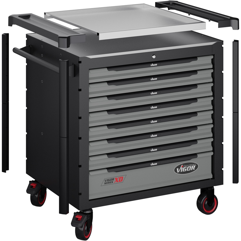 Series XD V4481-XD/469, VIGOR (6)