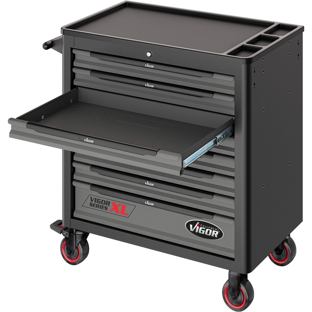 Series XL V4542, VIGOR (6)