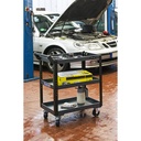 Service trolley V4758, VIGOR (5)