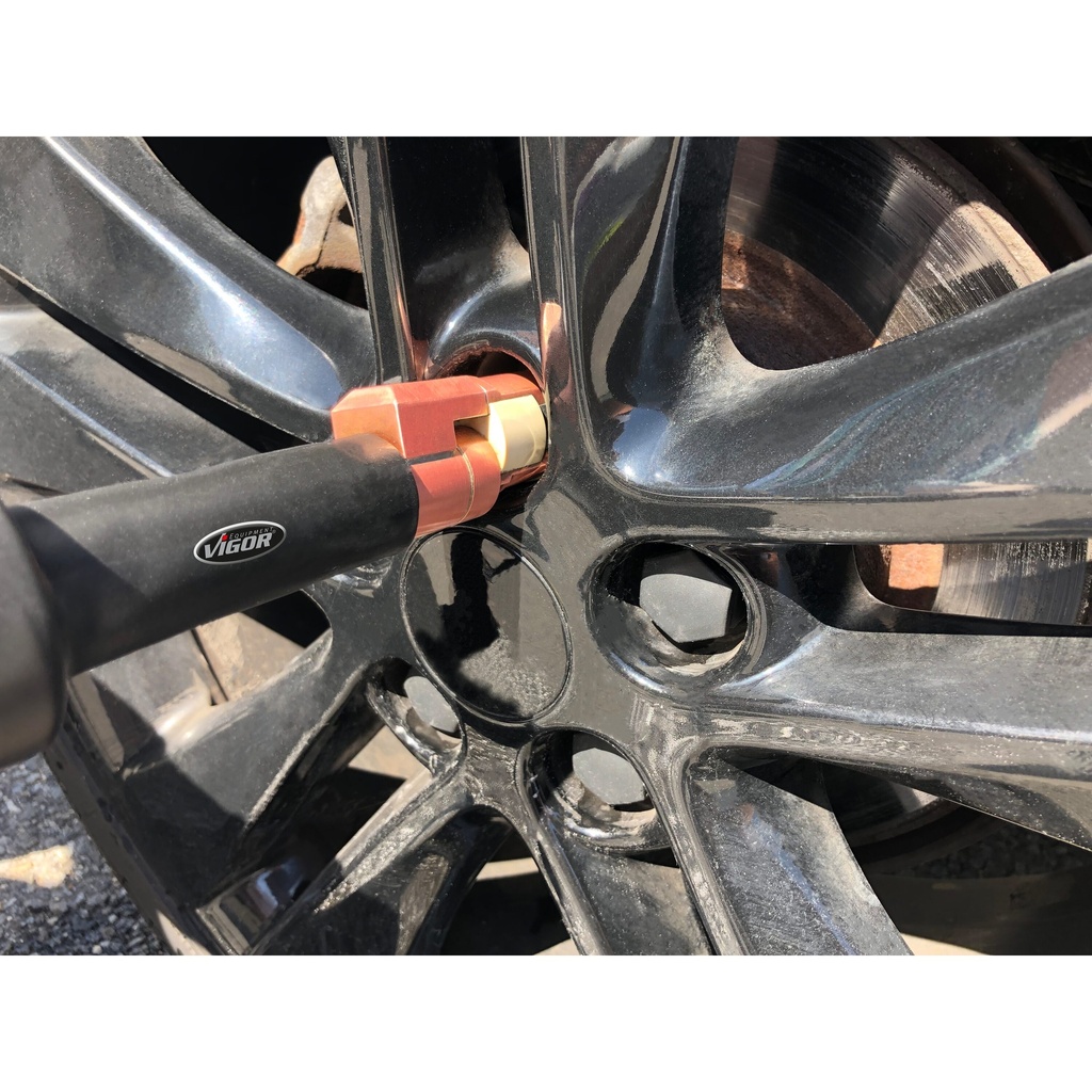 Expansion coil ∙ Wheel bolt V4891-3.5-1, (6)