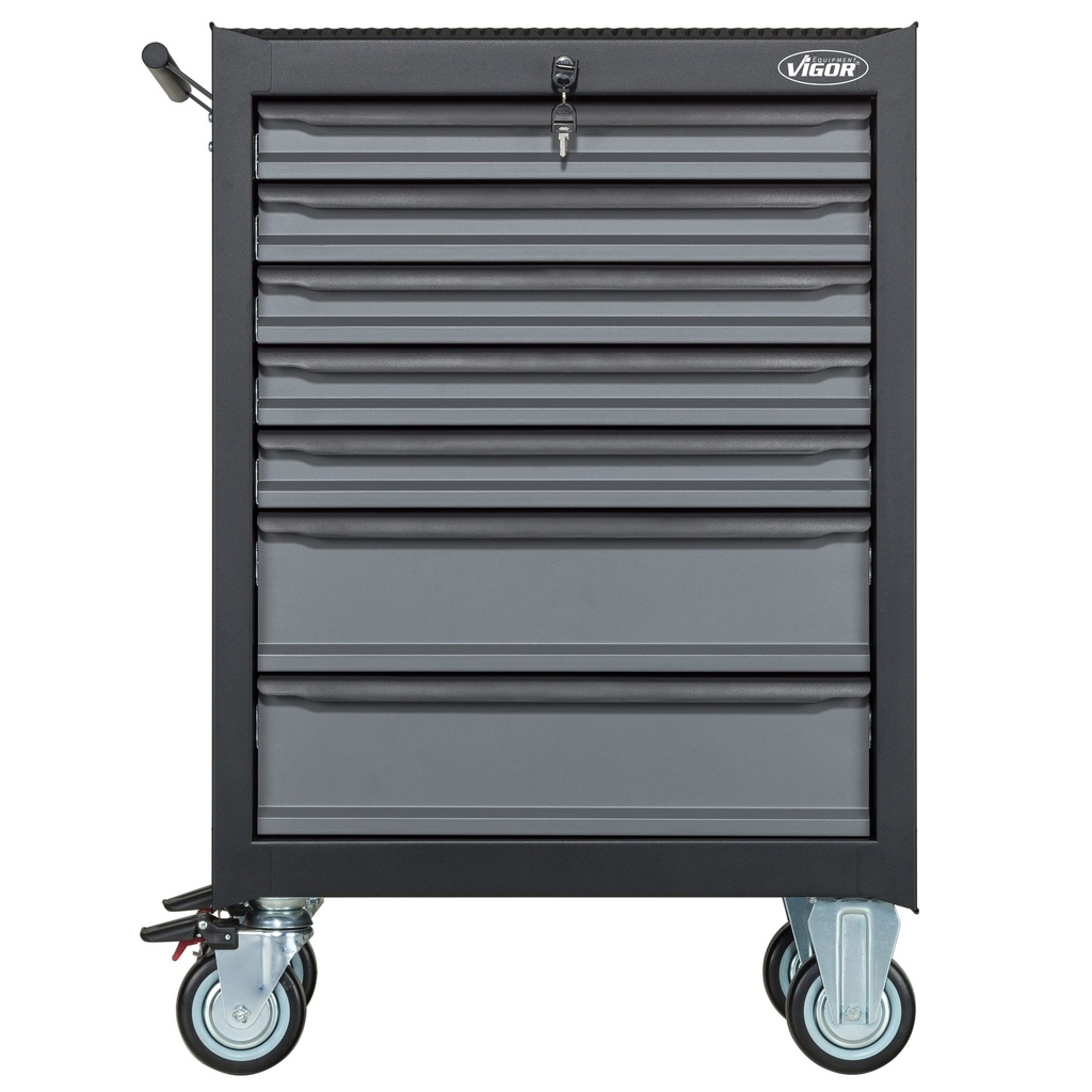 Series M V5489, VIGOR (6)