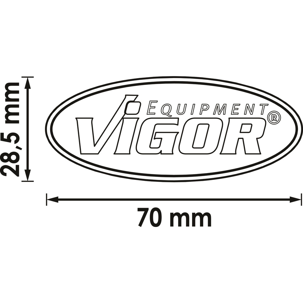 Magnetic button set V5679M, VIGOR (2)