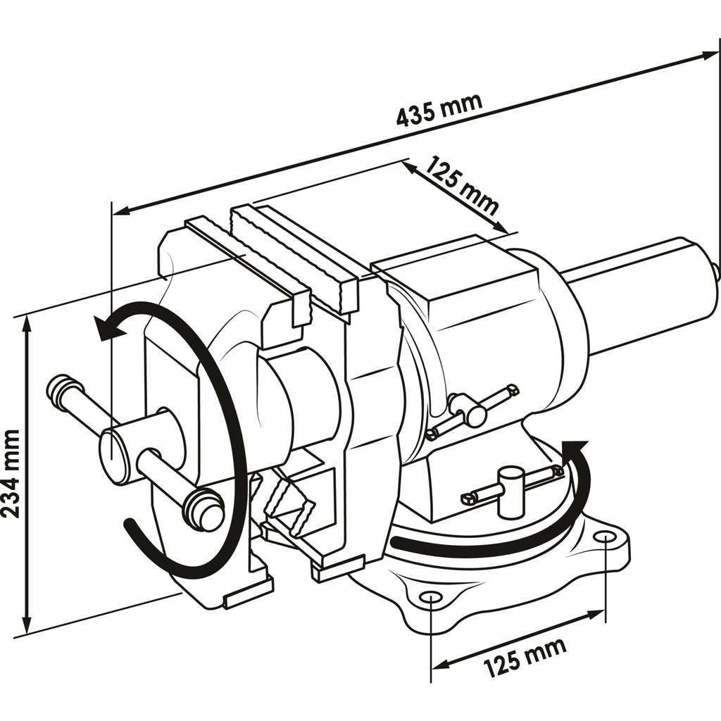 Vice V6150N, VIGOR (2)