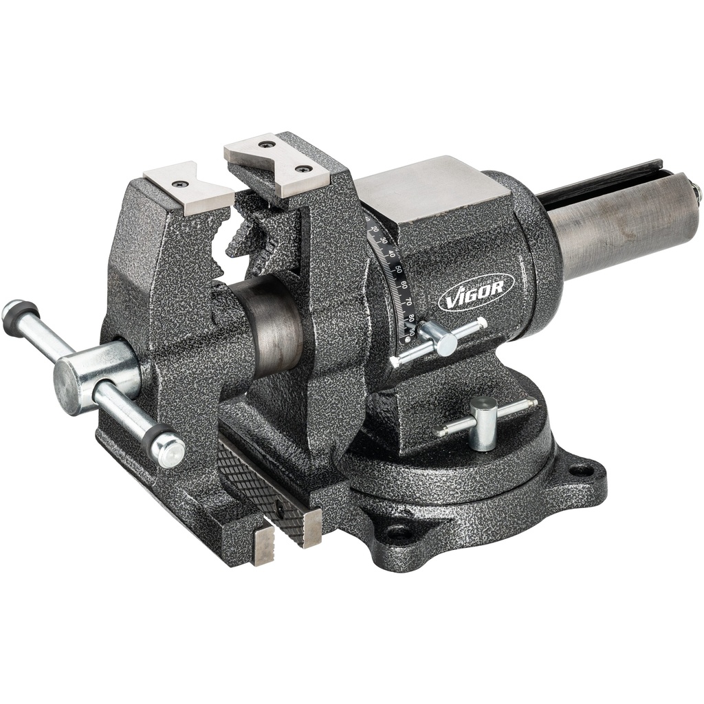 Vice V6150N, VIGOR (3)