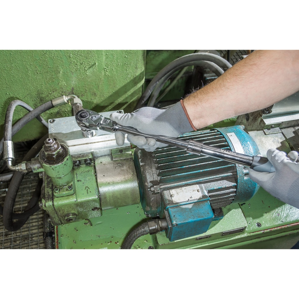 Telescopic reversible ratchet with hinge (6)