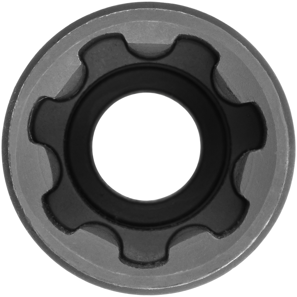 Socket V6633, VIGOR (2)
