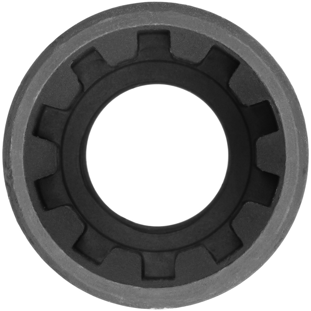 Socket V6634, VIGOR (2)