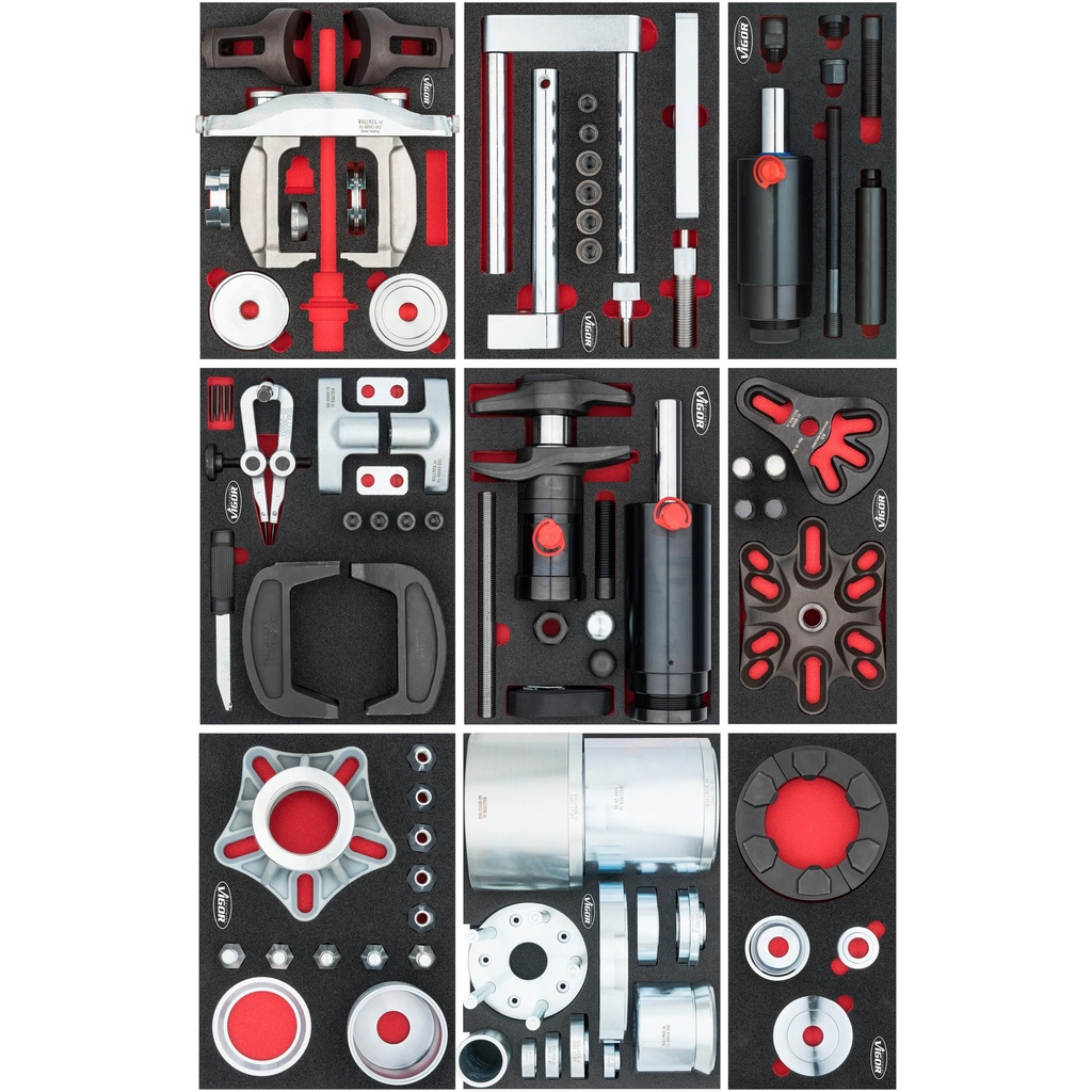 Series XL ∙ Special V7276, VIGOR (6)