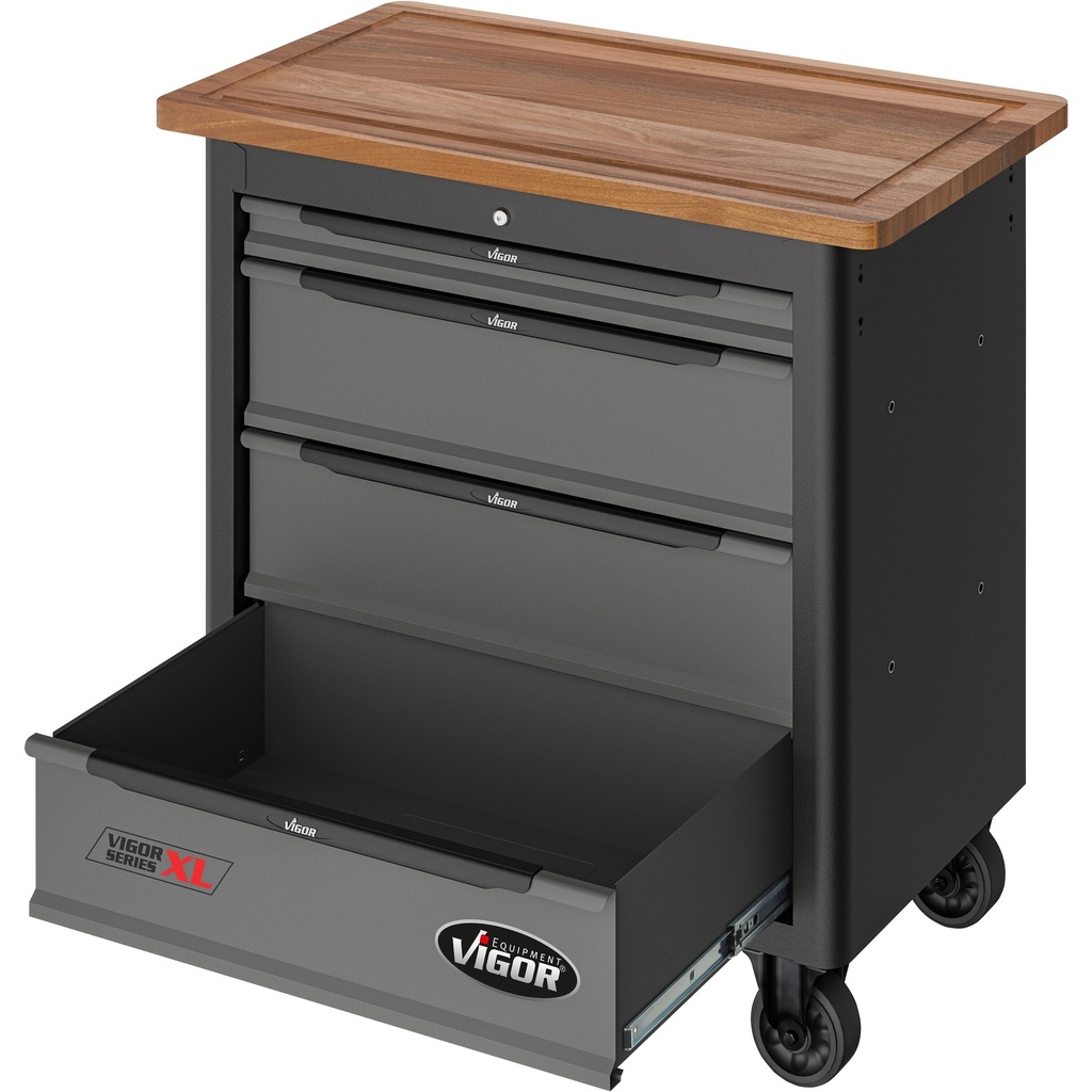 Series XL ∙ Special V7280, VIGOR (6)