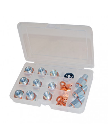 Alyvos išleidimo kamščio remontinių įdėklų komplektas (GO617, GOVONI)
