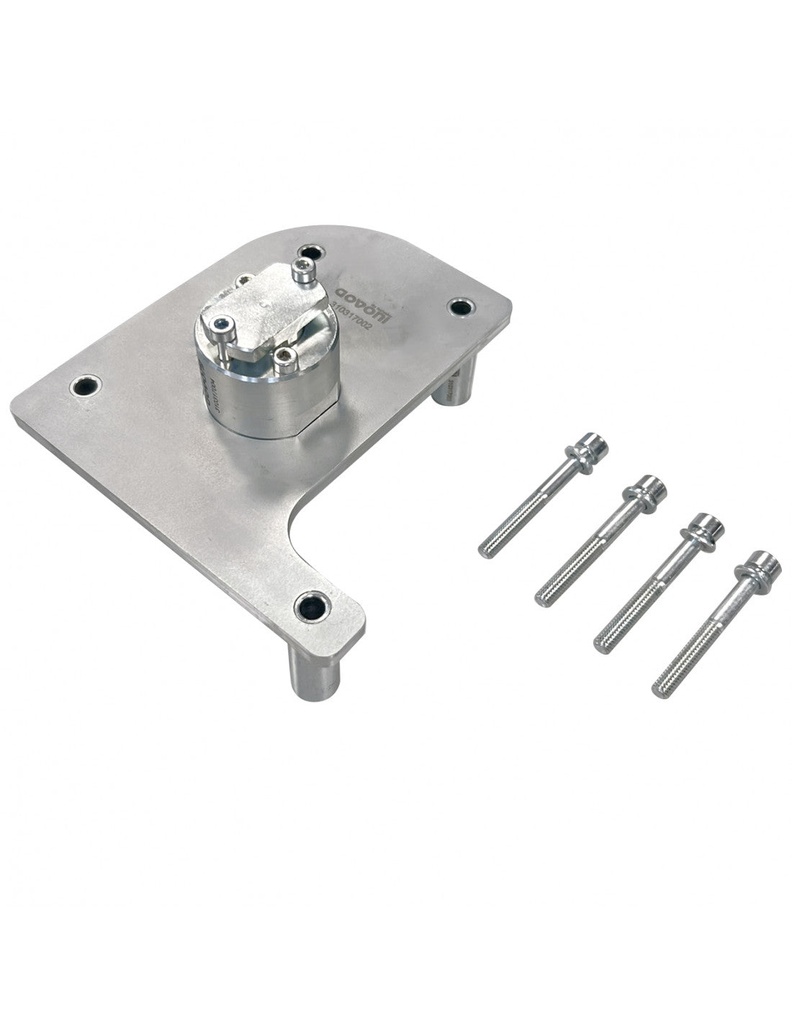 Paskirstymo fazių fiksavimo įrankių rinkinys FCA 1.5 Tonale, Jeep Hybrid (GO877, GOVONI)
