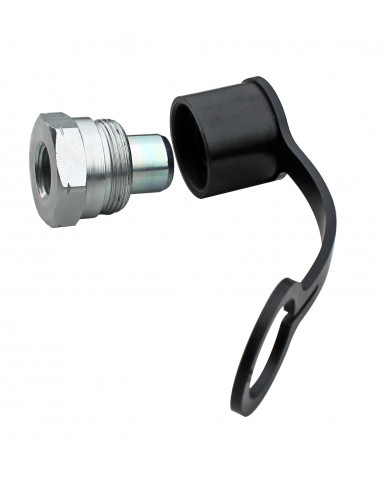Screw hydraulic connector for the pump (GO1033, GOVONI)