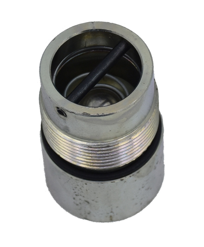 Foot Valve Complete. 15741 (1450059, EUROLUBE)