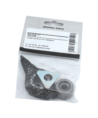 Lower valve kit 25745-46, 25787-88 (2557388, EUROLUBE)