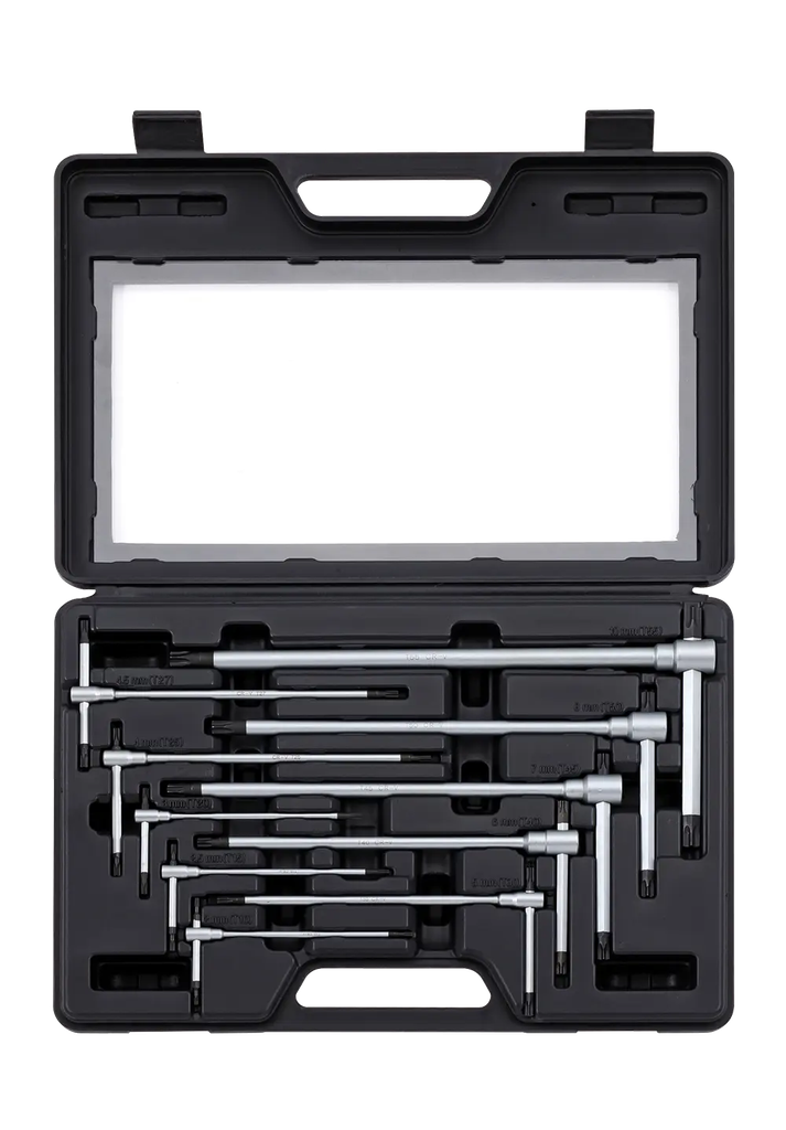 T-formos TORX raktų rinkinys 10vnt (601015, SONIC)