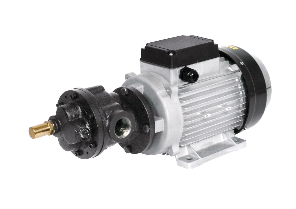 Elektrinis alyvos siurblys 230 V, 70 l/min (61611, EUROLUBE)