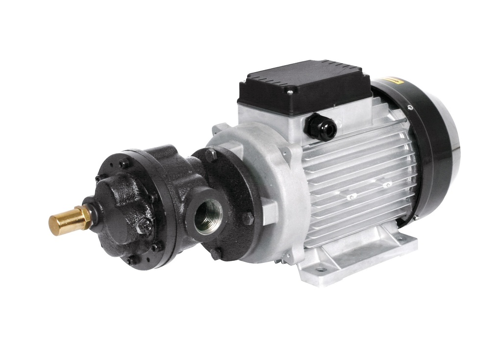 Electric oil pump 230V 50 l/min (61614, EUROLUBE)