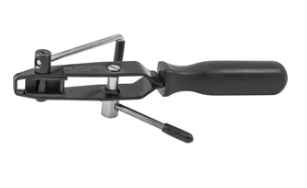 [ACBT] [ACBT] Replė sąvaržoms