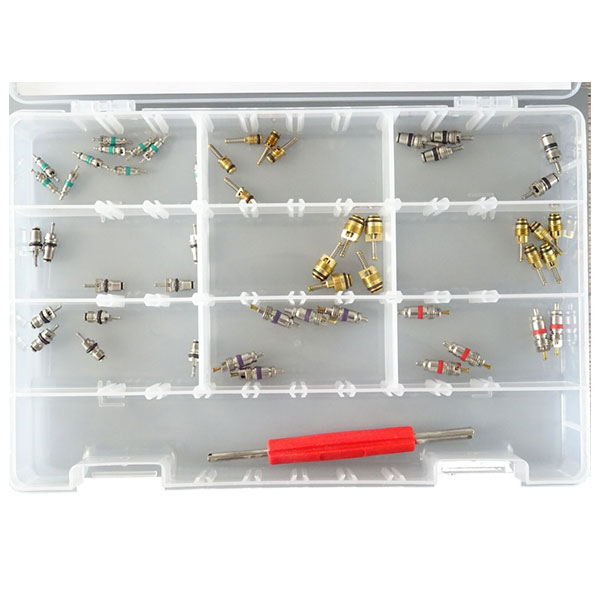 [RK1331] [RK1331] [RK1331] Ventilių komplektas oro kondicionavimo sistemoms, 50 vnt., su ventilio šerdies pašalinimo įrankiu, RK1331, ERRECOM