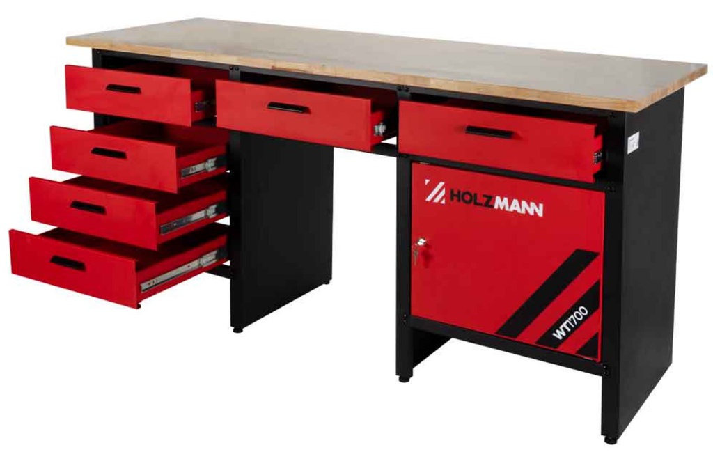 Darbastalis, WT1700, HOLZMANN [WT1700]