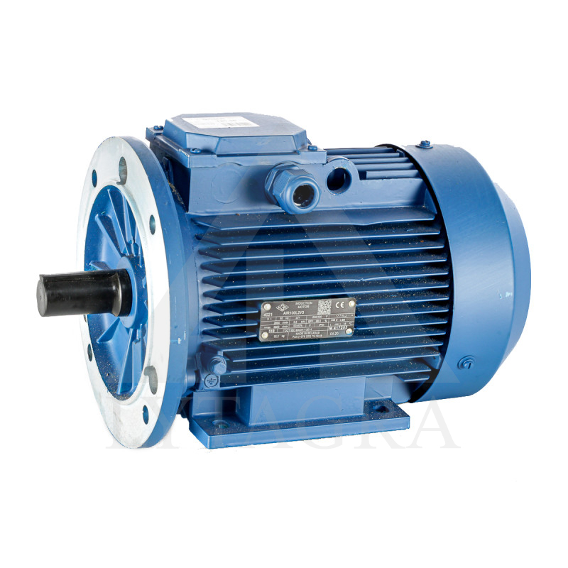 Electric motor 5.5 kW (420)