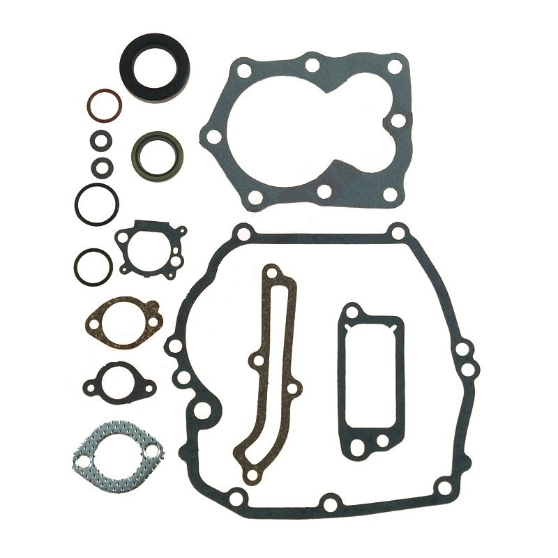 Gasket (seal) set B/59 (GG0900) (8440)