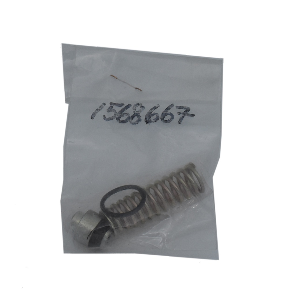 Valve Kit Complete 16723 (1568667, EUROLUBE)