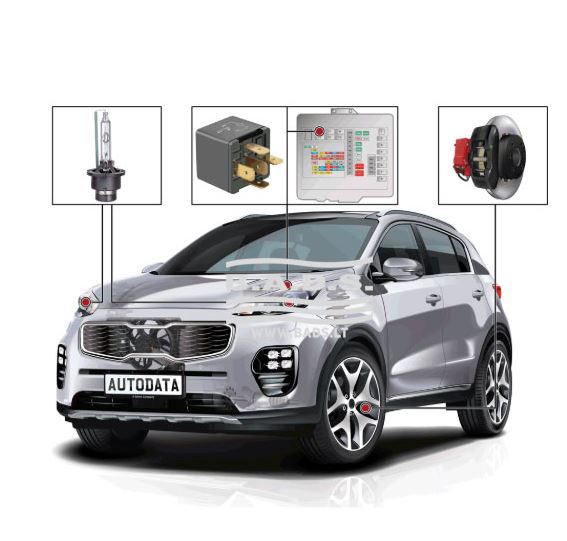 Baltic Month (AUTODATA INSPECTION 12)