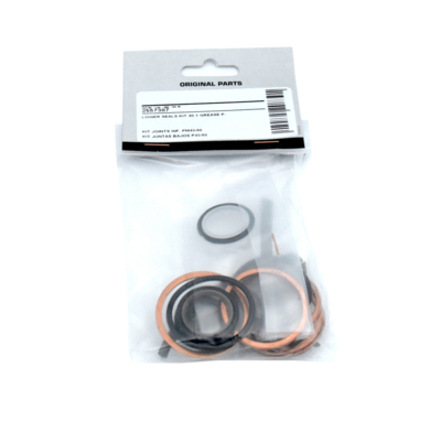 Lower Seals Kit 12820-22 & 25745-46 (2557387, EUROLUBE)