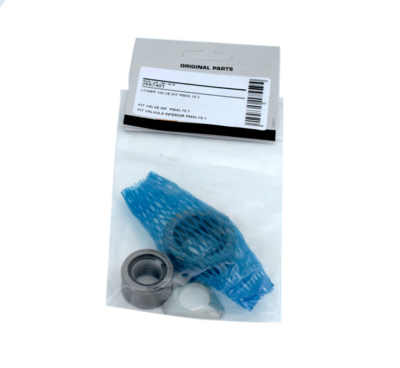 Lower Valve Kit 12830-32 & 25730-32 (2557401, EUROLUBE)
