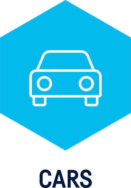 CARS Pro Licencija prietaisui ICON 1 metams, Autocom, W015061904