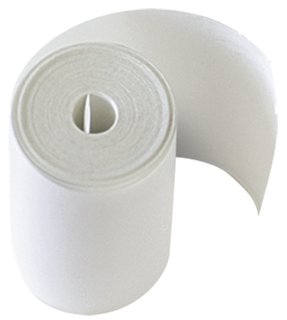 Set of 2 paper rolls for BT301/501/551 (056220, GYS)