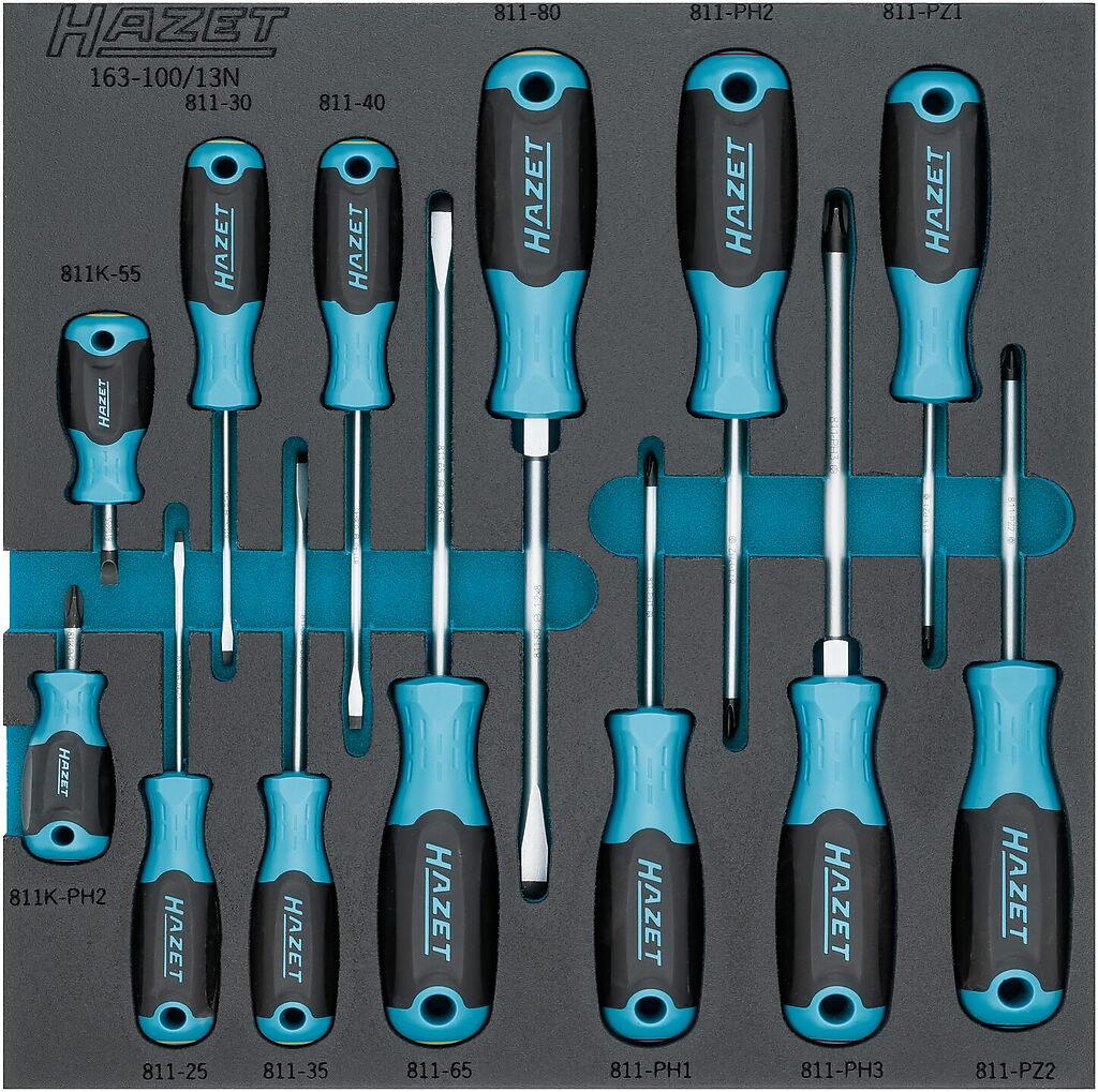 Screwdriver set (163-100/13N, HAZET)